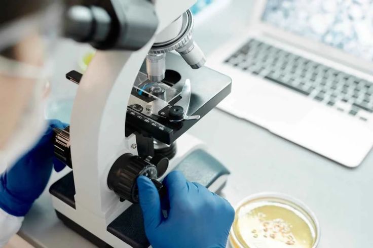 Ginecologista em João Pessoa 3 Citológico em meio líquido e painel de IST
